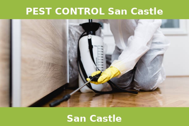 PEST CONTROL San Castle